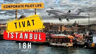 Luxury Business Jet Flight from Tivat to Istanbul | Cessna Citation X | MSFS2024 | FlightFX