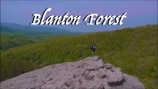 Blanton Forest // Exploring Eastern Kentucky's Old Growth, Mountainous Forest