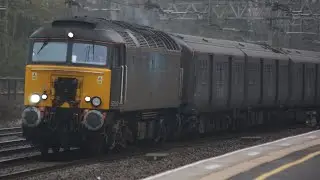 Trains At: Tamworth Feat: 768001, 319373, 90024 (23/12/21)