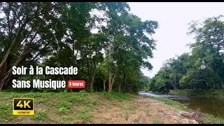 Soir &agrave; la Cascade Wang Takhrai &ndash; 8H Eau Douce, Oiseaux & Insectes (Sans Musique)