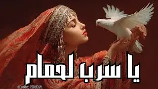 يا سرب لحمام واش خبارو · Cheba Sirina