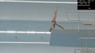 Marginalen Bank Diving Cup 2025  - Women + Men Platform
