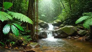 Calm River and Birds Ambience | Natural Sounds for Focus & Sleep