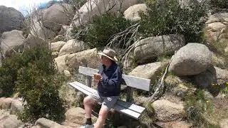 MT Horn Lookout/Lady Bath Falls Mt Buffalo