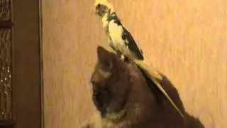 20120212 205552