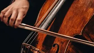 Tchaikovsky Festival - a digital experience with Malm&ouml; Symphony Orchestra