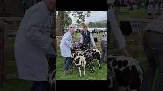 Salt Barn Farm - 2024 highlights!
