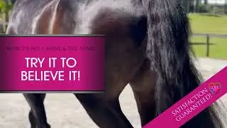 World Favourite Canter&reg; Mane and Tail Conditioner