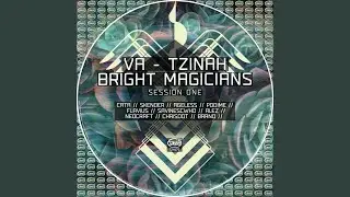Number13 (Original Mix)