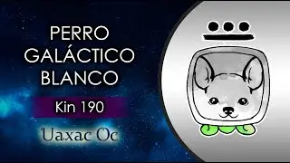 Kin 190 - Perro Gal&aacute;ctico Blanco ⚪️ | 28 Abril 2024