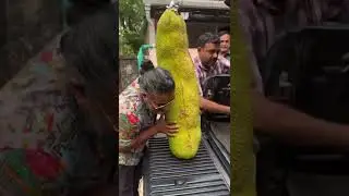 Cutting world biggest jackfruit#streetfood#food#sweet#delicious#foodlover#foodie#shorts#subscribe
