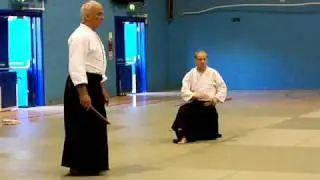 Terry Ezra Shihan Teaching Weapons