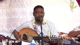 لي في ربى حاجر أداء الفنان محمد البيور في زفاف أحمد محمد الأهدل في حبيل البدوه