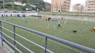 2 Mar&ccedil;o 2025 - Agility - Grau 2 - JP