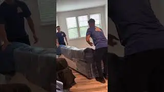 Seckler Moving - Bailey Moving Day!