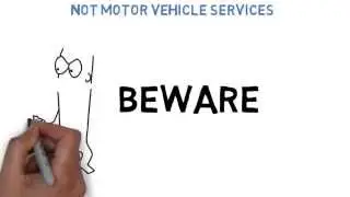 Motor Vehicle Services