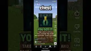 #minecraft #helpmemakethismakesense #minecraftmemes #memes #dothingsyoudontwanttodo #funny