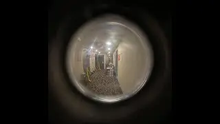 virtualHHaustralia presents 'How to Survive Hotel Quarantine With CRAZY CREATIVITY'