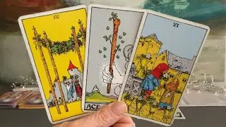 LEO Tarot February 19&ndash;26&ndash;Time to let go for a new beginning❤️🌎💰