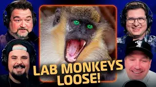 Hepatitis Monkeys on the Loose! | Ep 322