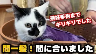 避妊手術の日…本当にギリギリでした