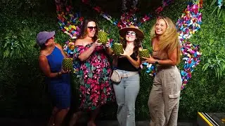 Key West Food Tours&rsquo; Bar Hop Cocktail Crawl