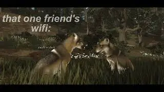 Always disconnecting :(