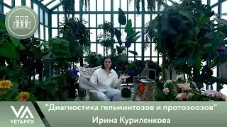 Кафедра Лабораторной диагностики. Ирина Куриленкова  - 