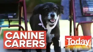 The dogs employed to bring happiness | Today Show Australia