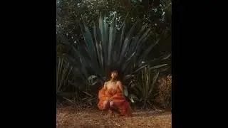 Khruangbin x Latin Soul Type Beat 