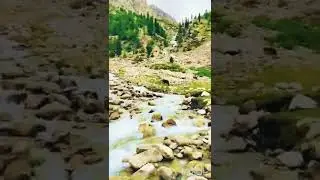 shahi bagh Swat #nature
