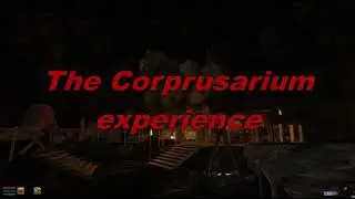 The Corprusarium Experience