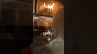 Bark box toys Christmas Edition!