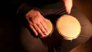 Bongos FREEJAC &ndash; Bosshannover by Mo'Horizons