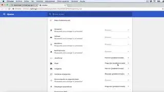 Habilitar Flash en Google Chrome