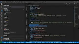 How to organize a big flutter project?