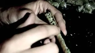 Mula Gonzalez X Monster X Rasta [OFFICIAL VIDEO] - All I Know #CARTELMOB CARTEL MOB