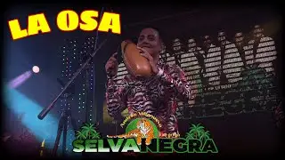 LA OSA SALVAJE - Selva Negra De Andres Villanueva 2023 Desde Monterrey