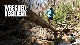 Wrecked. Resilient. | After the Storm in the Blue Ridge