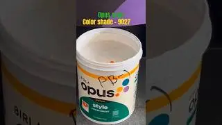 💫💫 birla Opus plastic paint #birlaopuspaints #shorts #short @opuswale @birlaopus