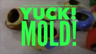 WARNING: Mold Growing Inside of Rubber Ducky!