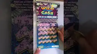 💸 Virginia Lottery WILD CASH!  #asmrscratching #scratch #asmrsounds #lotto #scratchers #scratchoffs