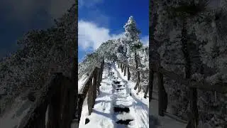 会当凌绝顶，一览众山小 #天柱山
