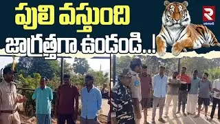Forest Officers Awareness On Tiger Roaming | పులి వస్తుంది జాగ్రత్తగా ఉండండి..! | RTV Adilabad