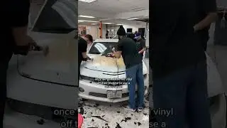 Removing old vinyl on a Camaro hood!
