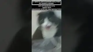 ахахах что это такое 🤣|#подпишись #популярное #рекомендации #quickup