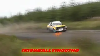 Bushwhacker Rally 2014 (IRISHRALLYING07HD)