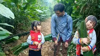Going to the forest to cut dong leaves to sell and cook - an orphan's life S&ugrave;ng A Mao