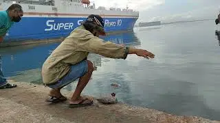 RABBIT FISH TARGET FISHING | DANGGIT | BARONANG