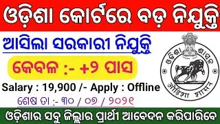 12th Pass Govt Jobs 2021 ! Salary : 19,900 /- Odisha Govt Jobs ! Odisha Job Updates ! Odisha Job